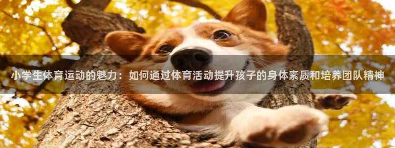 欧亿体育官方正版app集团官网首页：小学生体育运动的