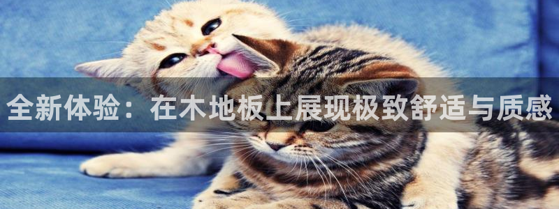 海南oety欧亿体育官网下载发展怎么样：全新体验：在