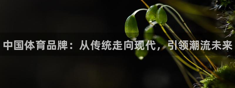 欧亿体育官方正版app娱乐首页官网下载：中国体育品牌