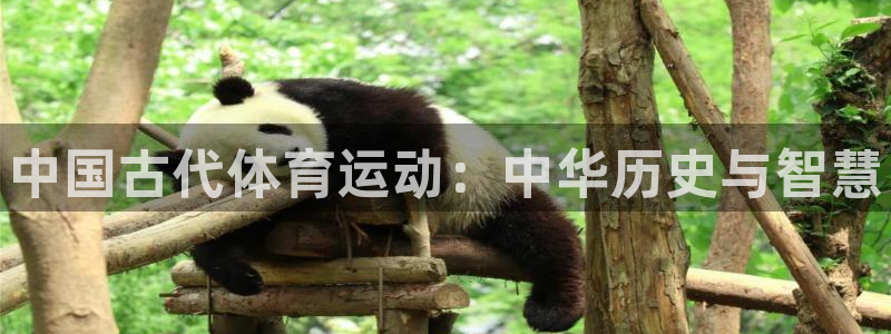 注册欧亿体育官方正版app：中国古代体育运动：中华历史与智慧