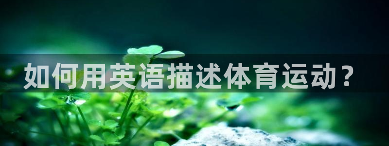 欧亿体育官方正版app娱乐网站：如何用英语描述体育运