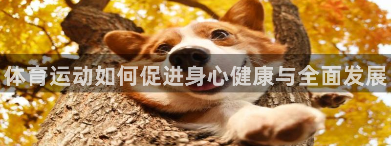 oety欧亿体育官网下载平台注册要钱吗：体育运动如何
