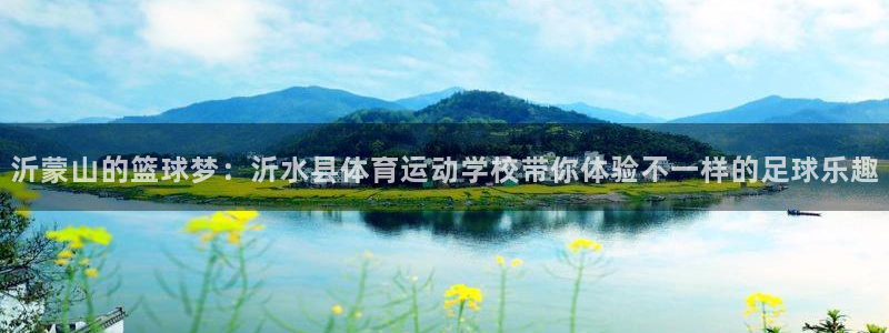 oety欧亿体育官网下载平台APP