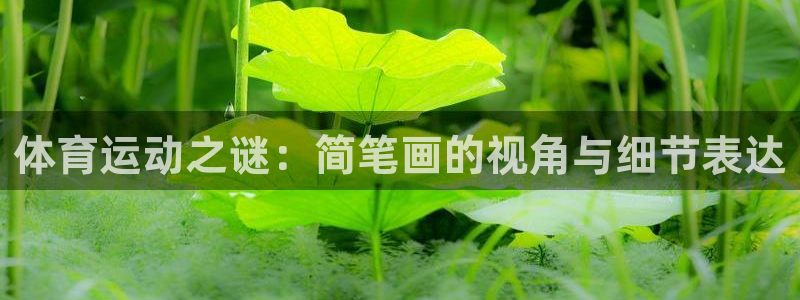 欧亿体育官方正版app集团简介：体育运动之谜：简笔画的视角与